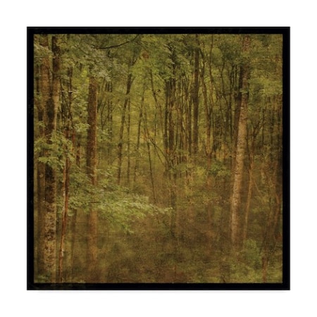 John W. Golden 'Forest Trees' Canvas Art,24x24